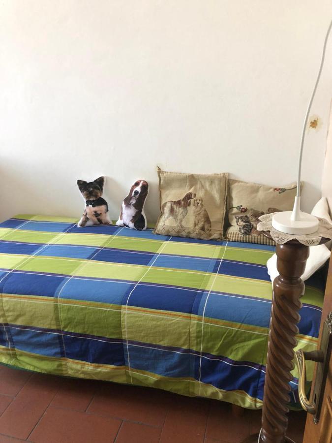 Solo Traveller Bedroom In Homestays City Center Florens Exteriör bild